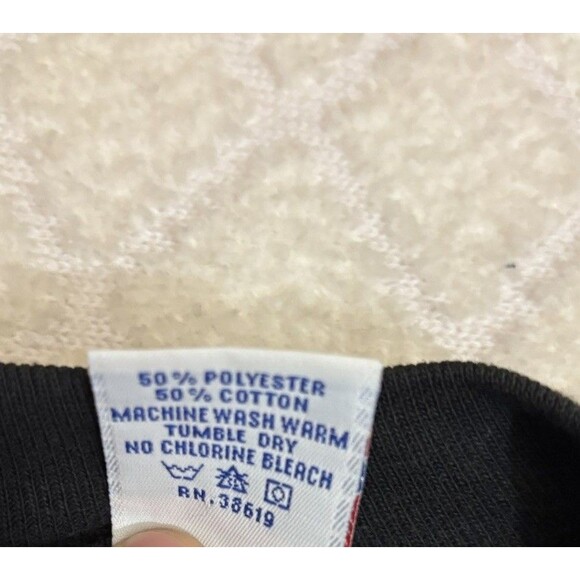 Vtg Anvil 80s USA Made Le Cabanon Lac Stanislas St Zenon Quebec Sweatshirt Large - Picture 13 of 16